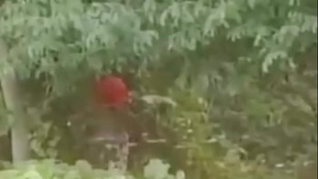 После чего он вставил во влагалище свой огромный член